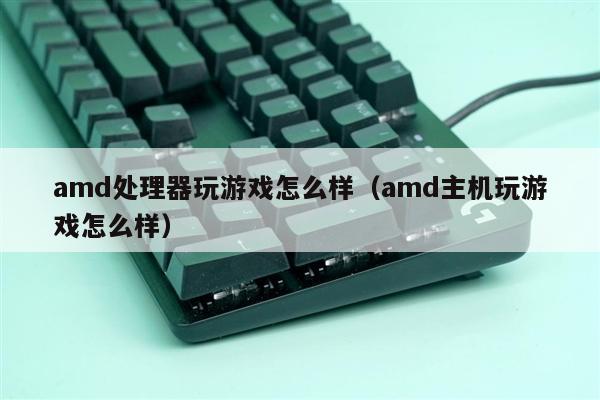 amd处理器玩游戏怎么样（amd主机玩游戏怎么样）